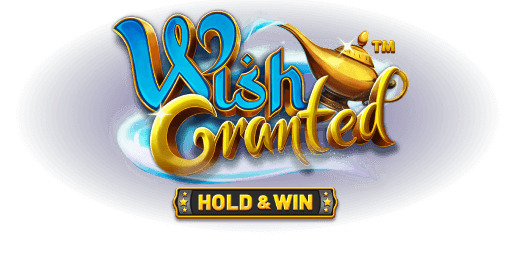 Wish Granted image
