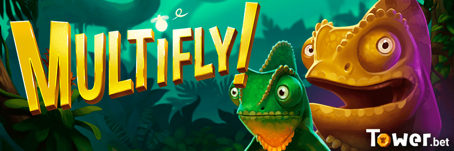 1_Multifly_main.png