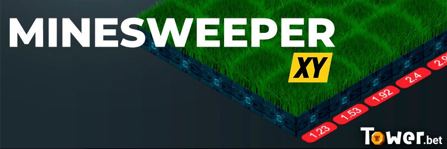 2_Minesweeper_XY_game.png