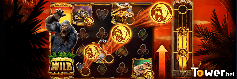 3_Primate_King_betting_options.png