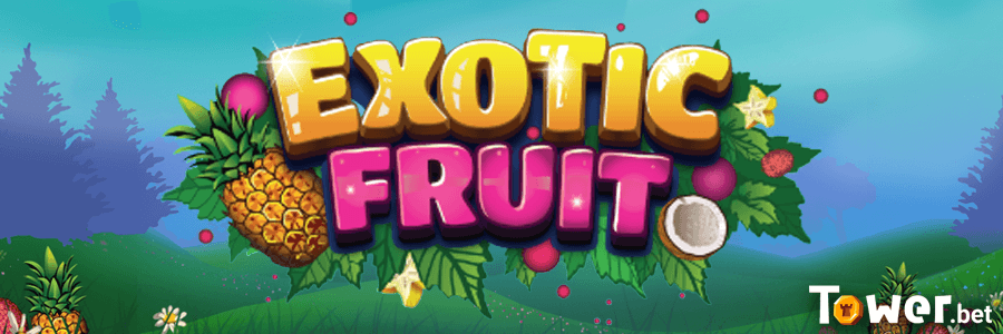 1_Exotic_Fruit_main.png