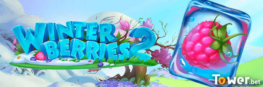 1_Winterberrie_2_main.png