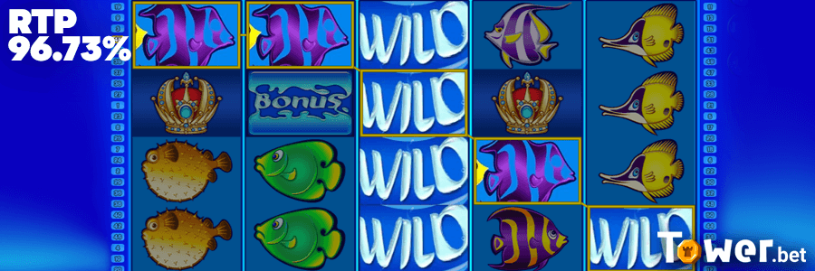 3_Wild_Shark_Bonus_Buy_rtp.png
