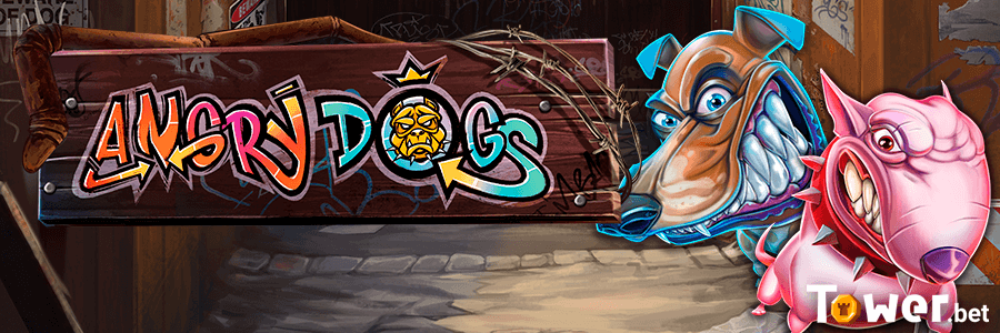 1_Angry_Dogs_main.png