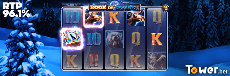 3_Book_of_Wolves_rtp.png
