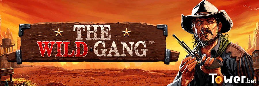 1_The_Wild_Gang_main.png