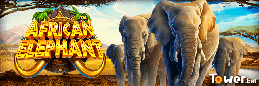 1_African_Elephant_main.png