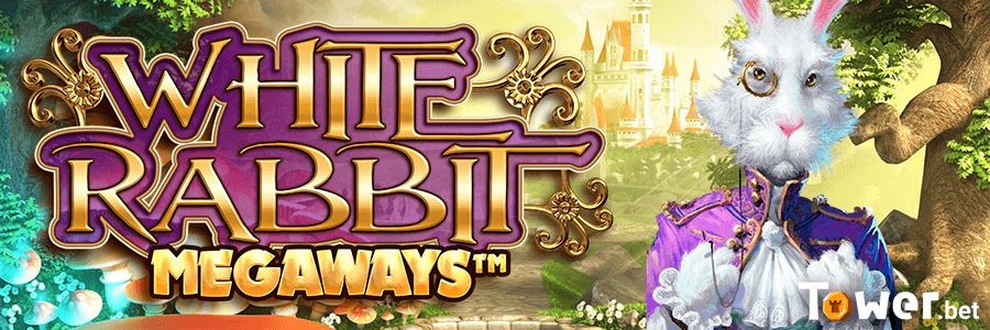 1_White_Rabbit_main.png