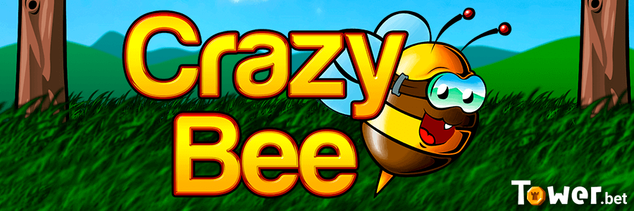 1_Crazy_Bee_main.png