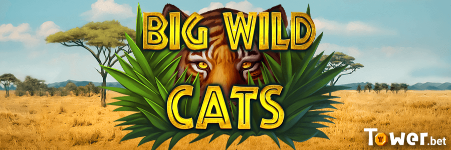 1_Big_Wild_Cats_main.png