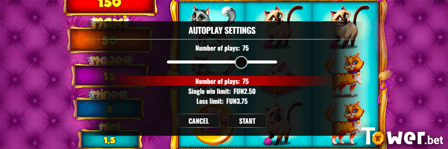 5_Posh_Cats_autoplay.png
