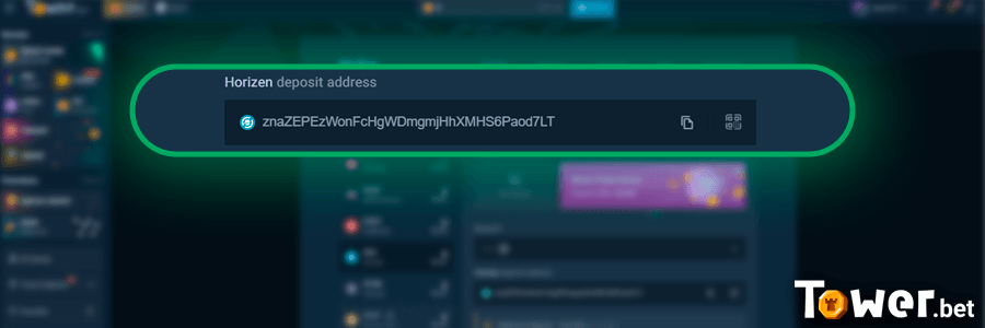 7_Horizen_address.png