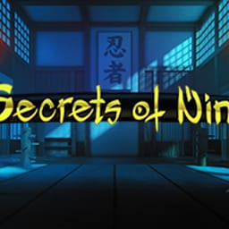 Ninja image