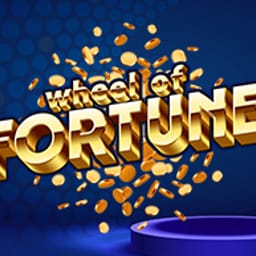 Wheel Fortune image
