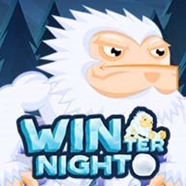 Winter Night image