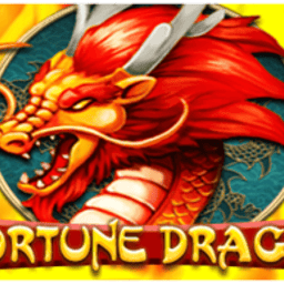 Fortune Dragon image