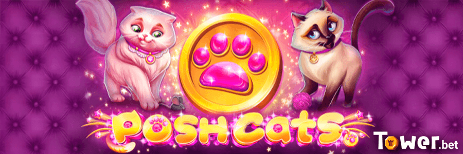 1_Posh_Cats_main.png