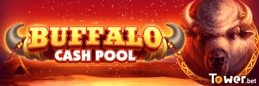 1_Buffalo_Cash_Pool_main.png