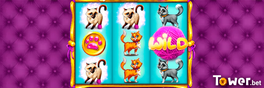 2_Posh_Cats_game.png