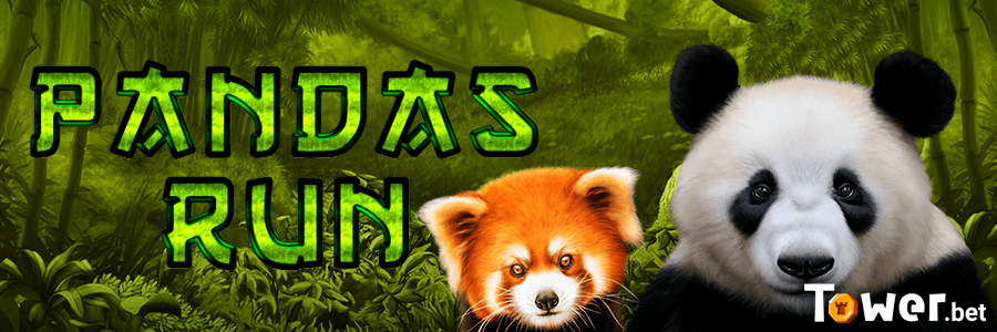 1_Pandas_Run_main.png