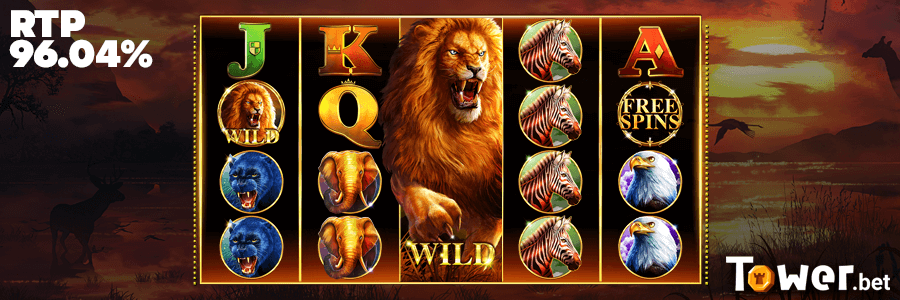 3_African_Fortune_rtp.png