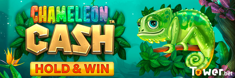 1_Chameleon_Cash_main.png