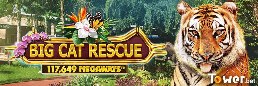 1_Big_Cat_Rescue_MegaWays_main.png