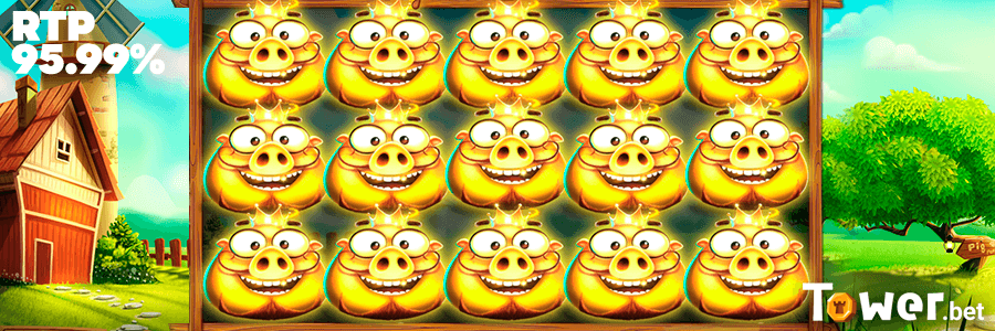 3_7_Piggies_rtp.png
