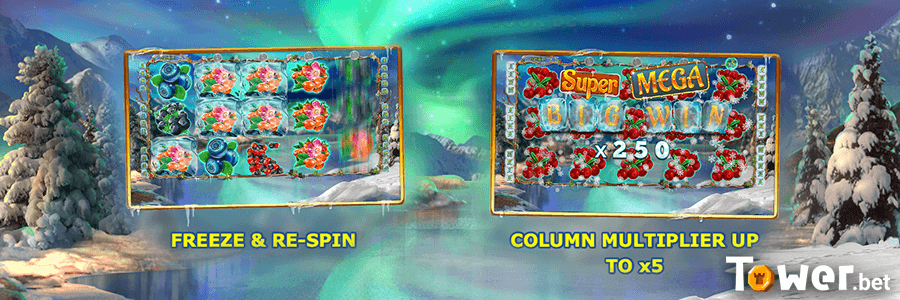 2_Winterberries_bonus.png