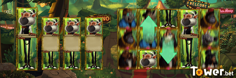 2_Fancy_Jungle_bonus.png