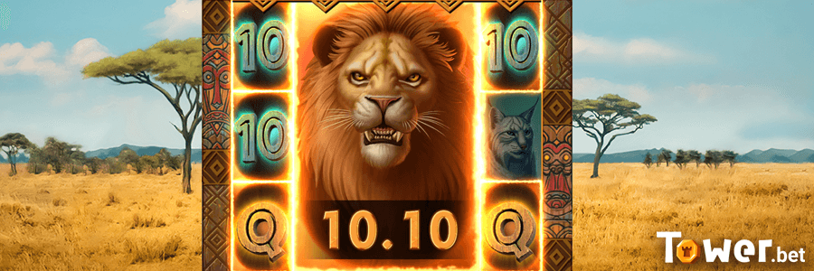 2_Big_Wild_Cats_3×3_wild_bonus.png