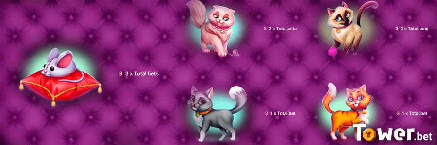 4_Posh_Cats_symbols.png