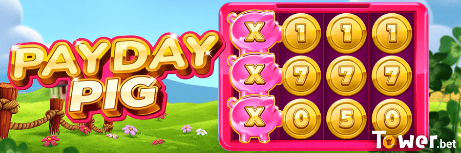 4_Payday_Pig_how_to_play.png