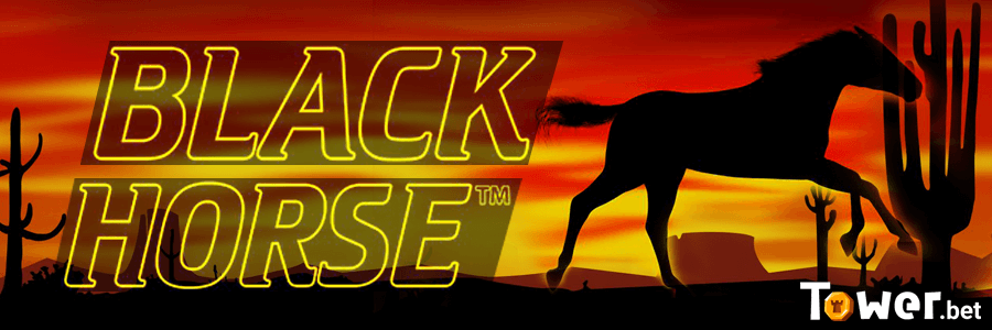 1_Black_Horse_main.png