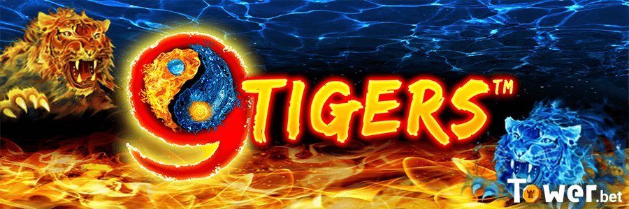1_9_Tigers_main.png