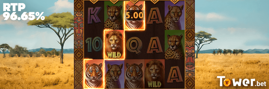 3_Big_Wild_Cats_rtp.png