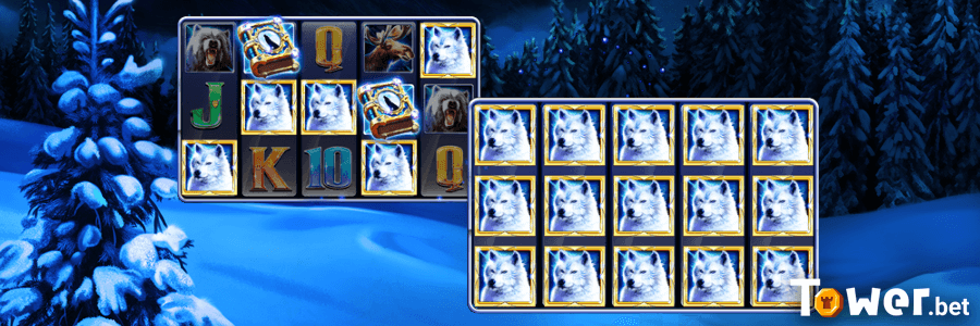 2_Book_of_Wolves_bonus.png