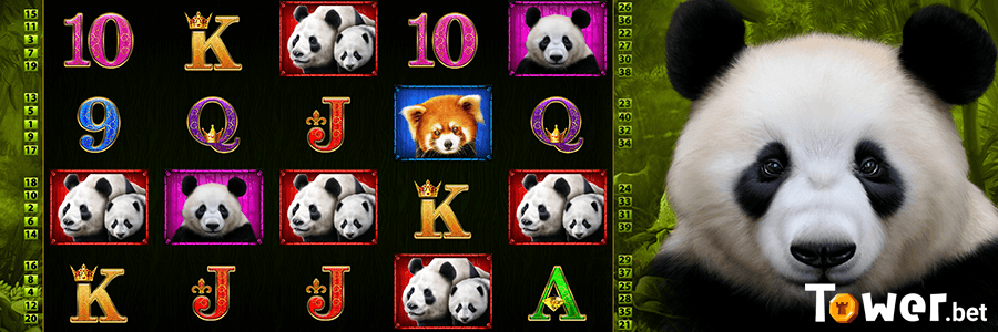 2_Pandas_Run_game.png