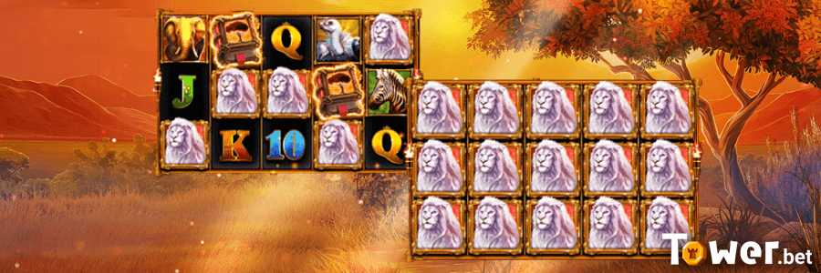 2_Book_of_Majestic_King_bonus.png