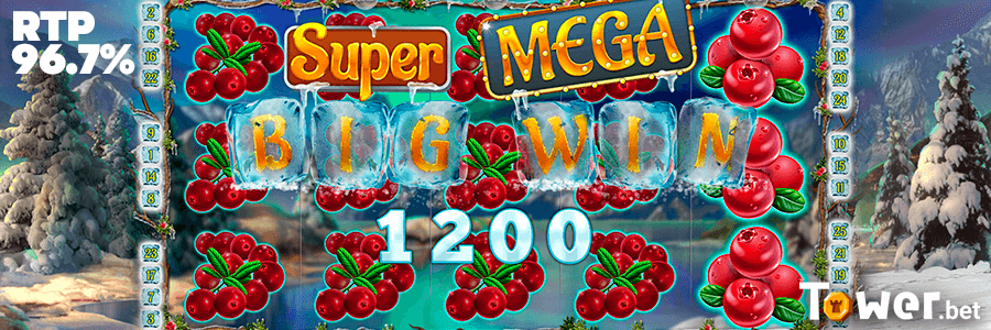 3_Winterberries_rtp.png