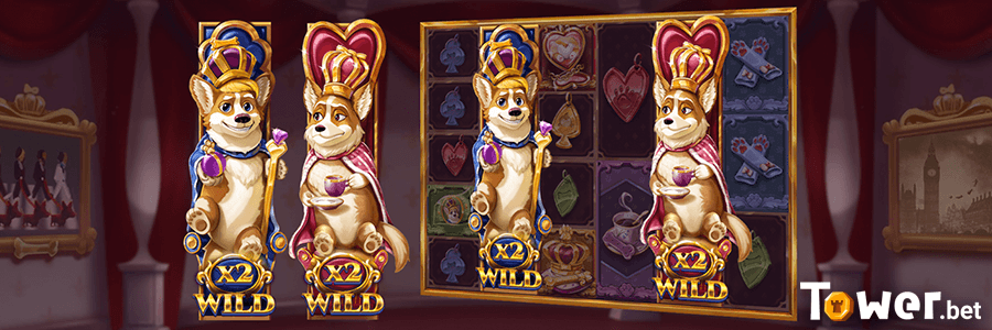 3_Doggy_Riches_royal_corgi_wilds.png