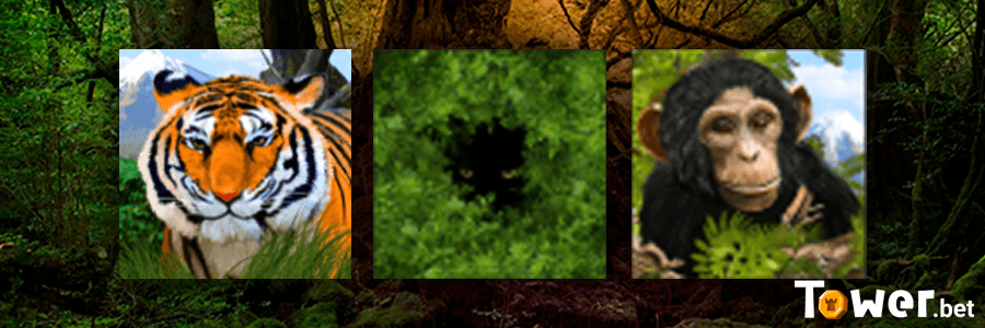 2_Deep_Jungle_bonus.png