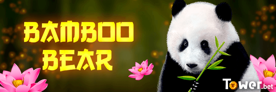 1_Bamboo_Bear_main.png