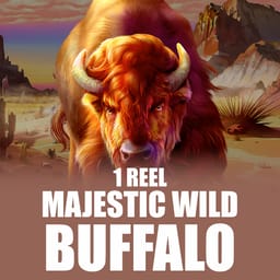 1 Reel - Majestic Wild Buffalo image