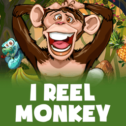 1 Reel Monkey image