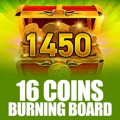 16 Coins Burning Board image