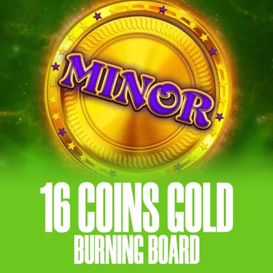 16 Coins Gold Burning Board image