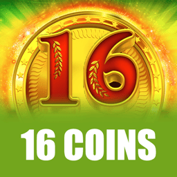 16 Coins image