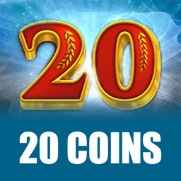20 Coins image