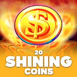 20 Shining Coins image
